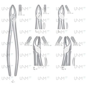  Extraction Forceps,English Pattern
